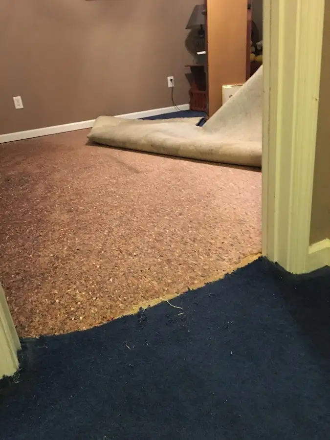 Carpet pad removal revealing water damage during Drying & Dehumidification in Blytheville
