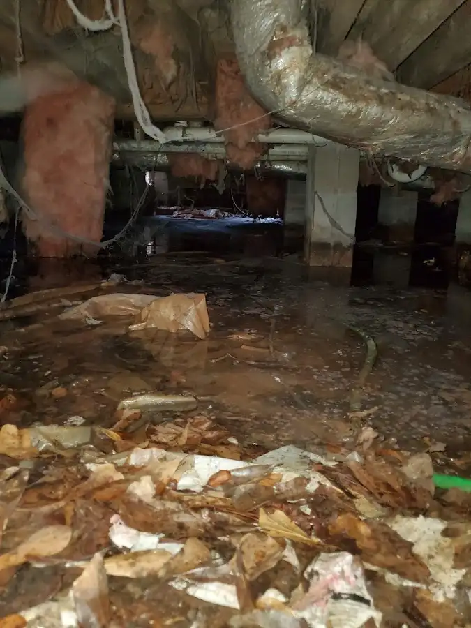 Crawl space flood assessment for Leak Detection & Repair in Blytheville
